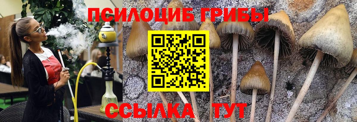 Галлюциногенные грибы MAGIC MUSHROOMS Острогожск