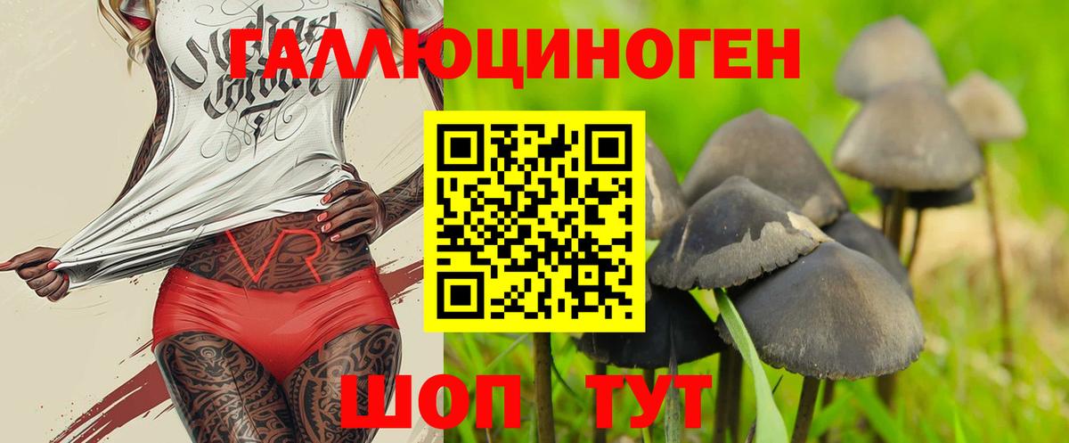 наркошоп  Псилоцибиновые грибы Psilocybine cubensis  Вход с VPN  Галлюциногенные грибы MAGIC MUSHROOMS  Острогожск 